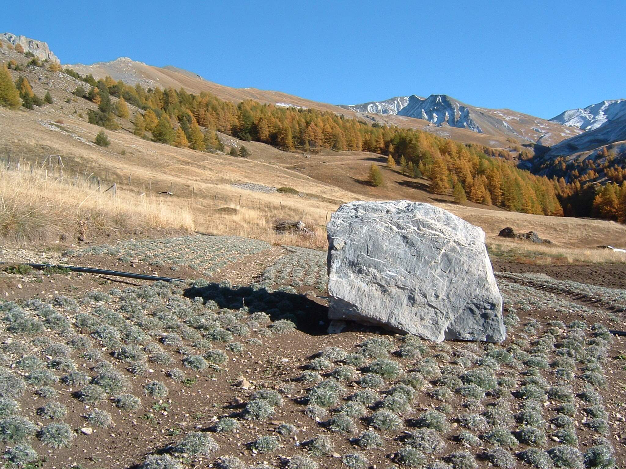 Et puis d'abord mes vrais ennemis sont les morceaux de montagne qui tombent au milieu de mes plates-bandes