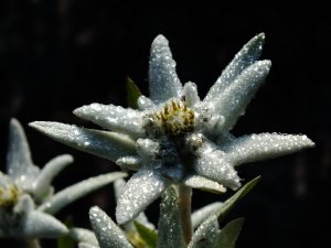 DSCF8408