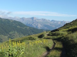 IMG_0347