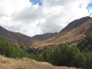 IMG_3287